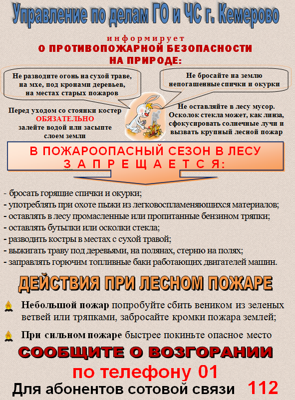 пожар в лесу.png